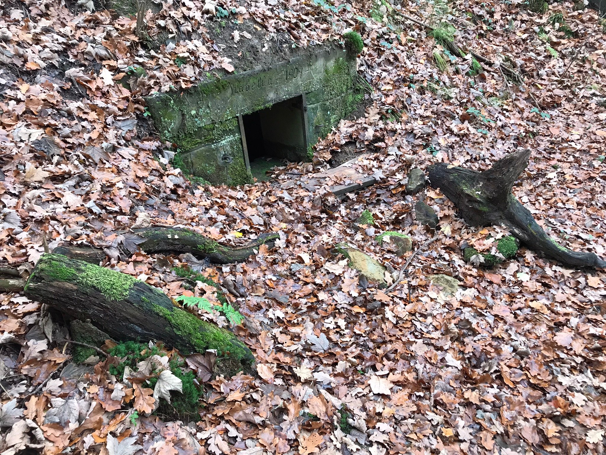 Omszała kamienna obudowa źródełka w leśnym zboczu w Hucisku, z napisem „Izabella 1909”, wśród opadłych dębowych liści.